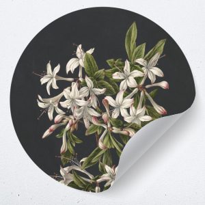 Muurcirkel “Tak van een bloeiende Azalea”
