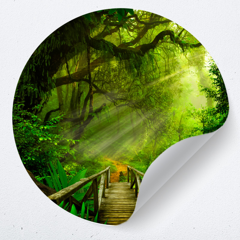 Muurcirkel jungle – zelfklevende behangcirkel - Afbeelding 2
