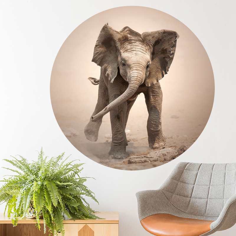 Muurcirkel olifant baby – zelfklevende behangcirkel - Afbeelding 3