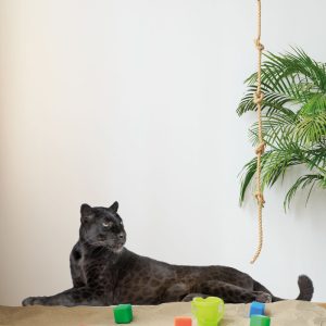 Muursticker Panter
