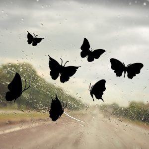 Raamsticker vlinders – set met 7 vlinders